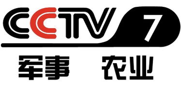恩斯特文化产业集团荣登央视CCTV7优秀跨国企业榜单，引领文化传媒创新发展